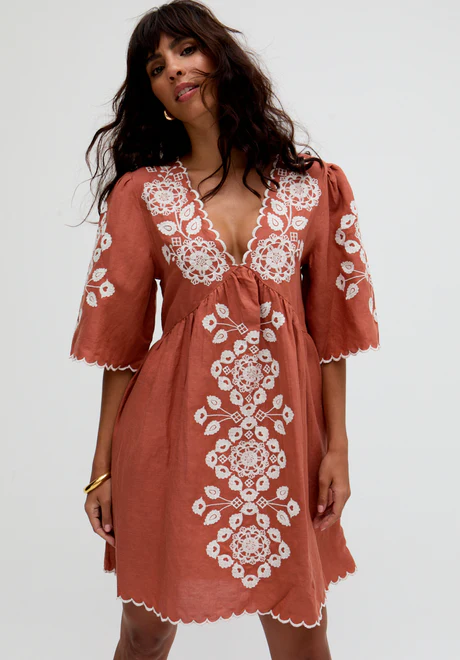 Brown V-Neck Embroidered Mini Dress
